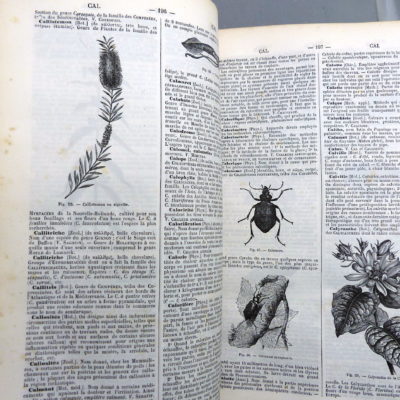 Dictionnaire encyclopédique des Sciences.  1885. – Image 6