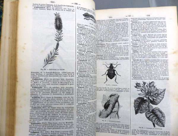 Dictionnaire encyclopédique des Sciences.  1885. – Image 6