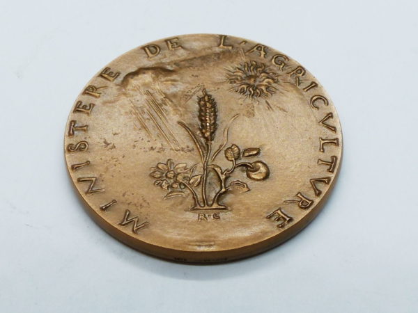 Lot: 6 Médailles BRONZE: Agriculture, Maçons, Ruche. Coudray, Dropsy, Corbin. 346 grammes – Image 9