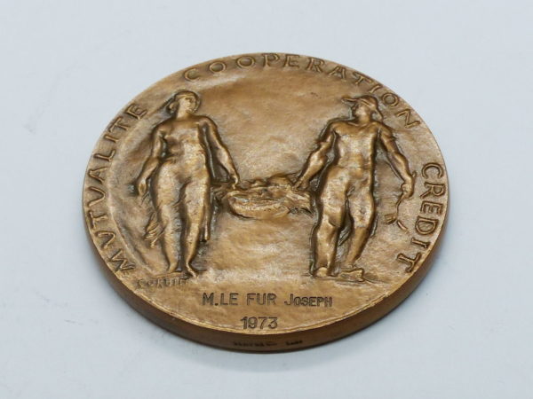 Lot: 6 Médailles BRONZE: Agriculture, Maçons, Ruche. Coudray, Dropsy, Corbin. 346 grammes – Image 8