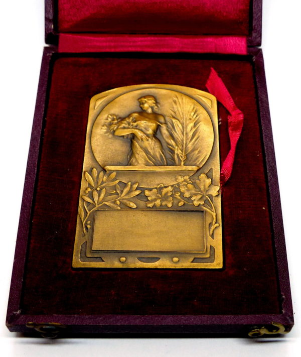 Médaille de Bronze.  82 grammes. Belle allégorie de R.KAUTSCH. Avec son étui.