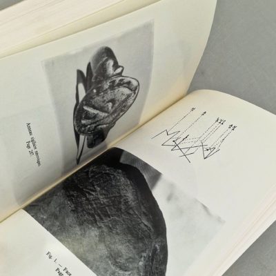 Lot de 3 livres sur la CROIX ROUGE Henri Dunant, l'ARCHEOLOGIE, l'ésotérisme, etc – Image 5