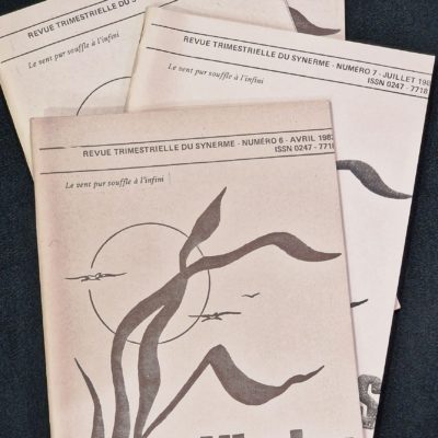 Lot de 10 livres sur la Franc Maçonnerie: Au Féminin. Pourquoi. Humanisme. Héliades. Cibola... – Image 7