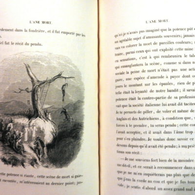 L'ANE MORT. Jules Janin. Tony Johannot. Ernest Bourdin. 30x22x2cm; 306 Pages – Image 11