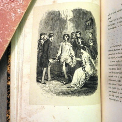 L'ANE MORT. Jules Janin. Tony Johannot. Ernest Bourdin. 30x22x2cm; 306 Pages – Image 8