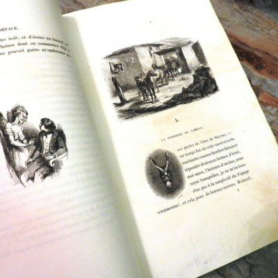 L'ANE MORT. Jules Janin. Tony Johannot. Ernest Bourdin. 30x22x2cm; 306 Pages – Image 10