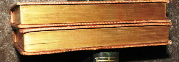 Les Orphelins PIEMONTAIS. Ernest Bourdin. 30x22x2cm; 306 Pages – Image 6