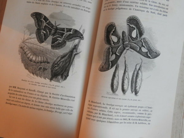 L'AIR ET LE MONDE AERIEN. Arthur MANGIN. 1865. Tours. Mame. 3 Tranches Dorées – Image 10